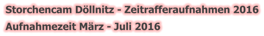 Storchencam Döllnitz - Zeitrafferaufnahmen 2016 Aufnahmezeit März - Juli 2016